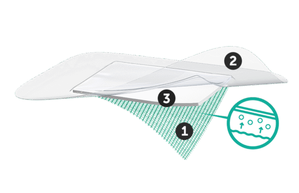 Illustration showing the three layers of Sorbact Secure: number 1, bottom green layer; number 2, top transparent layer; number 3, middle layer.