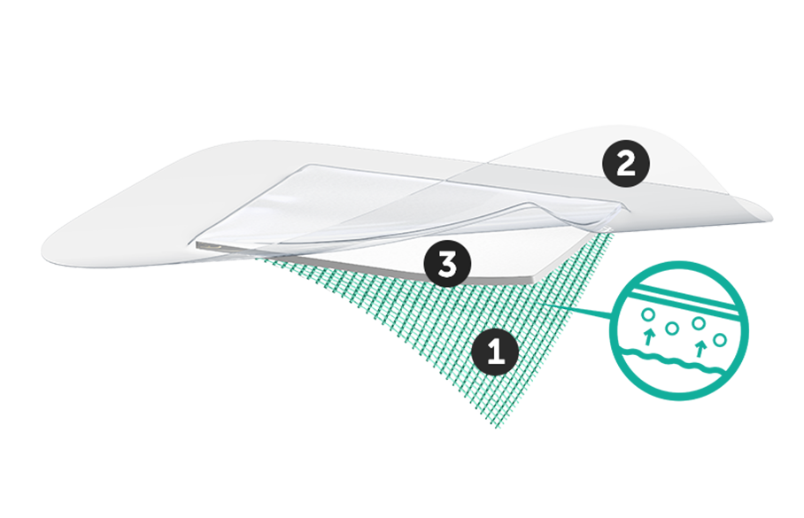 Illustration showing the three layers of Sorbact Secure: number 1, bottom green layer; number 2, top transparent layer; number 3, middle layer.