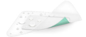 Sorbact Secure dressing.