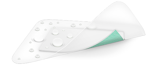 Sorbact Secure dressing.